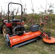 嬕?紜肗x缸藐_?坰J鱅殑t_獉曉??]犡sN?磭 